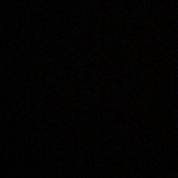 Meet your Posher, Mya - Picture 1 of 1